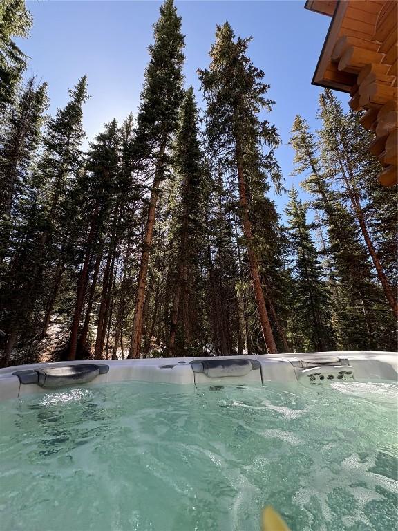 282 Sally Cir, Breckenridge, CO 80424 - view of yard with a hot tub