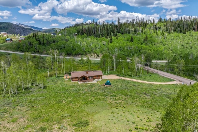 27100 Beaver Canyon Dr, Clark, CO 80428 - view of yard with a mountain view, a forest view, and an outdoor structure