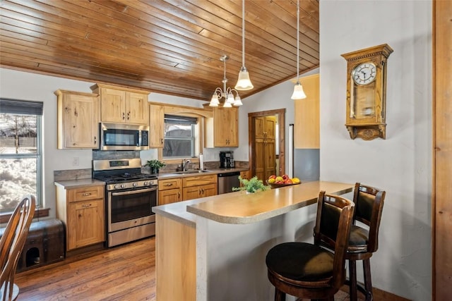 27100 Beaver Canyon Dr, Clark, CO 80428 - kitchen featuring appliances with stainless steel finishes, wood ceiling, a peninsula, wood finished floors, and a breakfast bar