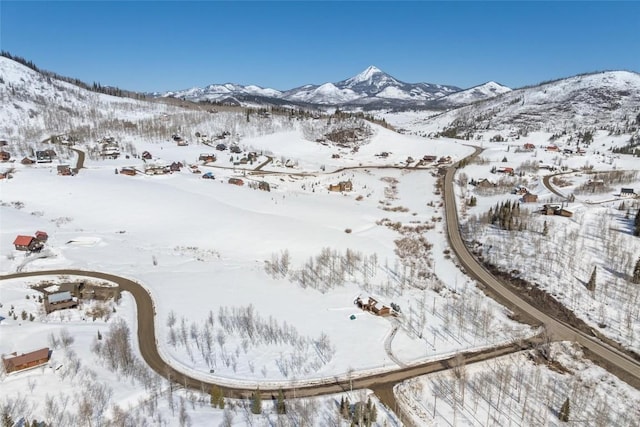 27100 Beaver Canyon Dr, Clark, CO 80428 - mountain view