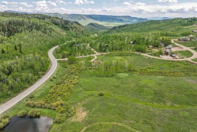 27100 Beaver Canyon Dr, Clark, CO 80428 - aerial view of property and surrounding area featuring a mountain backdrop