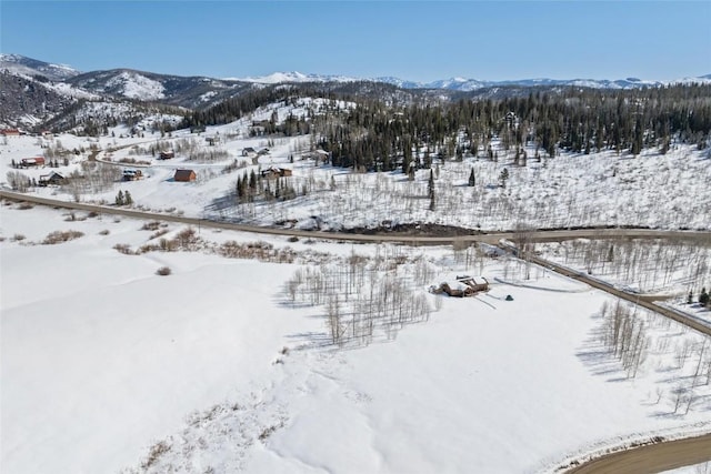 27100 Beaver Canyon Dr, Clark, CO 80428 - snowy aerial view with a mountain view