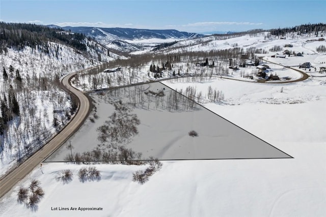 27100 Beaver Canyon Dr, Clark, CO 80428 - snowy aerial view featuring a mountain view