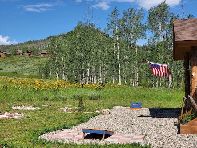 27100 Beaver Canyon Dr, Clark, CO 80428 - view of yard