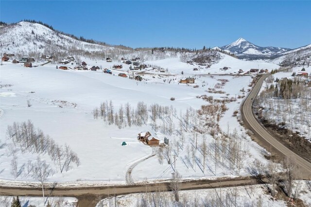 27100 Beaver Canyon Dr, Clark, CO 80428 - mountain view