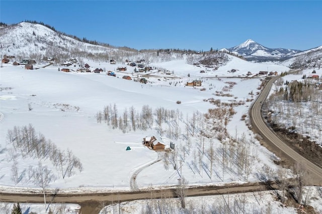 27100 Beaver Canyon Dr, Clark, CO 80428 - view of mountain background