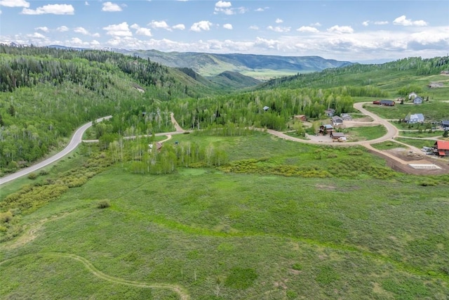 27100 Beaver Canyon Dr, Clark, CO 80428 - view of property location featuring a mountainous background