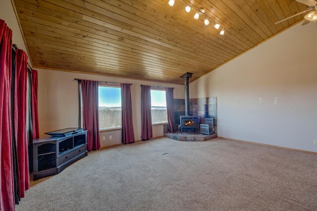 801 Crawford Ln, Fairplay, CO 80440 - photo 8