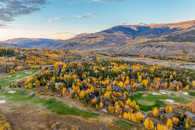 1803 Falcon Dr, Silverthorne, CO 80498 - photo 49