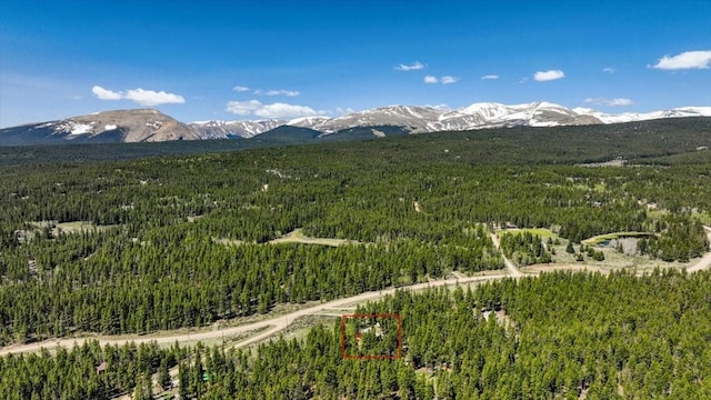 1305 Lakeside Dr, Fairplay, CO 80440 - photo 33