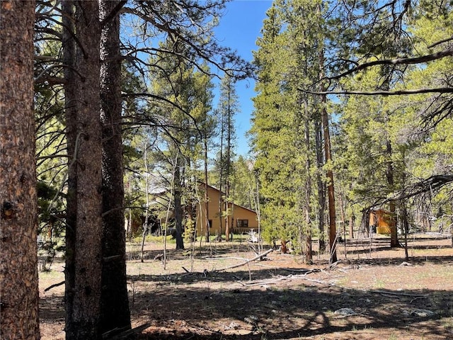 1305 Lakeside Dr, Fairplay, CO 80440 - photo 36