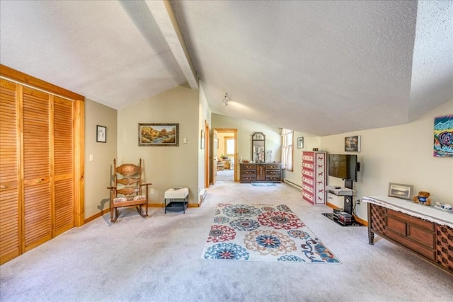 1305 Lakeside Dr, Fairplay, CO 80440 - photo 18