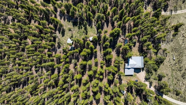 1305 Lakeside Dr, Fairplay, CO 80440 - photo 37