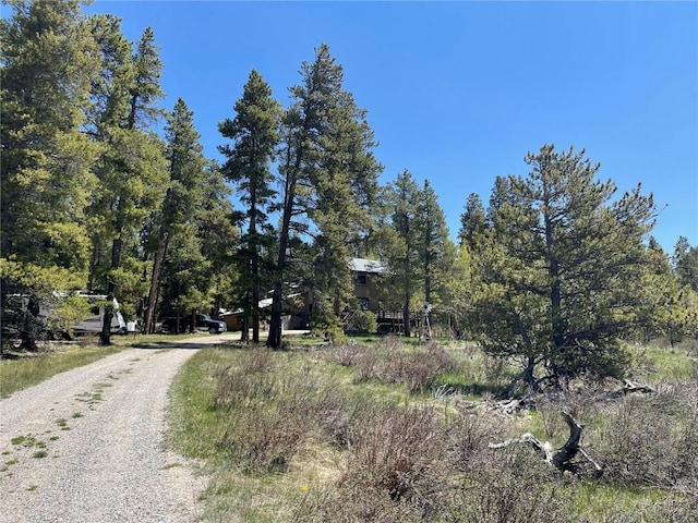 1305 Lakeside Dr, Fairplay, CO 80440 - photo 35