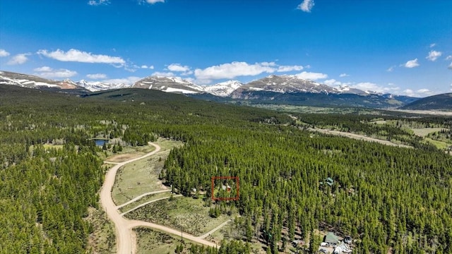 1305 Lakeside Dr, Fairplay, CO 80440 - photo 3