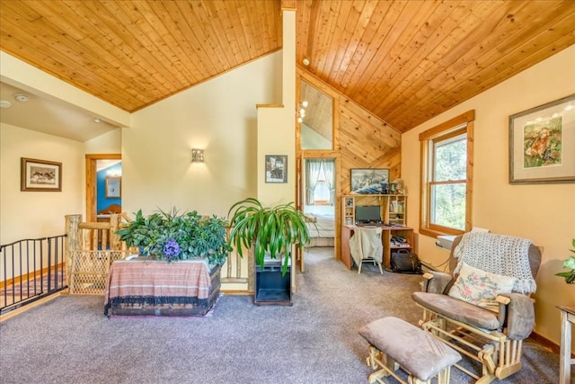 1305 Lakeside Dr, Fairplay, CO 80440 - photo 2