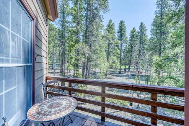 1305 Lakeside Dr, Fairplay, CO 80440 - photo 21