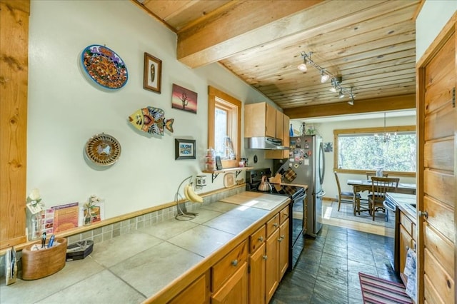 1305 Lakeside Dr, Fairplay, CO 80440 - photo 14