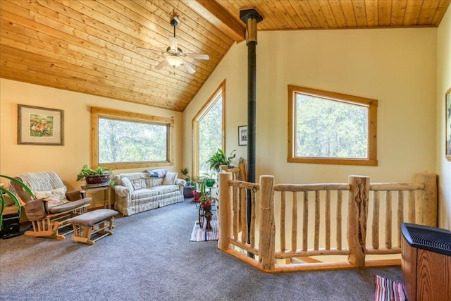 1305 Lakeside Dr, Fairplay, CO 80440 - photo 9