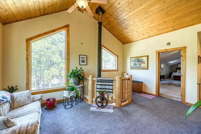 1305 Lakeside Dr, Fairplay, CO 80440 - photo 8
