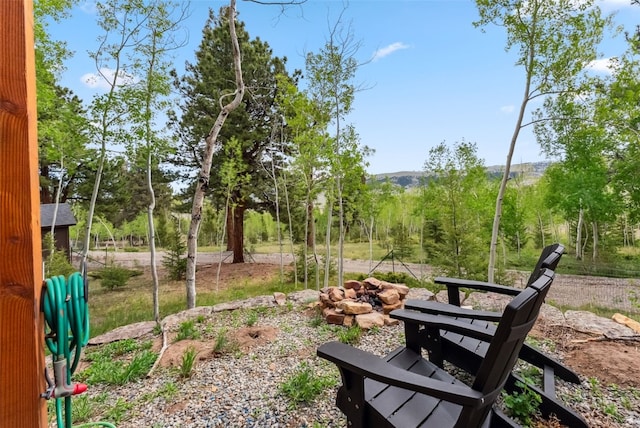 2028 Redhill Rd, Fairplay, CO 80440 - photo 46