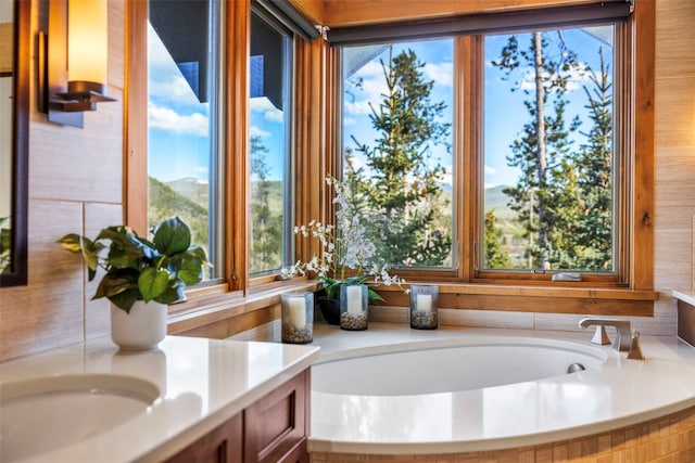 23 Verde Ct, Breckenridge, CO 80424 - full bathroom with vanity and a tub