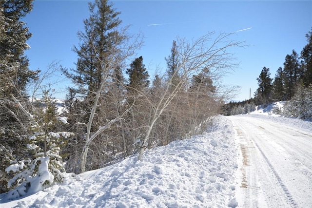 3806 Middle Fork Vis, Fairplay, CO 80440 - photo 5