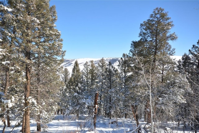 3806 Middle Fork Vis, Fairplay, CO 80440 - photo 11