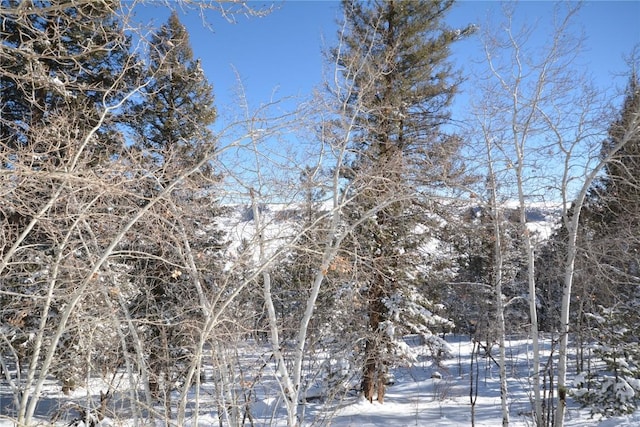3806 Middle Fork Vis, Fairplay, CO 80440 - photo 6