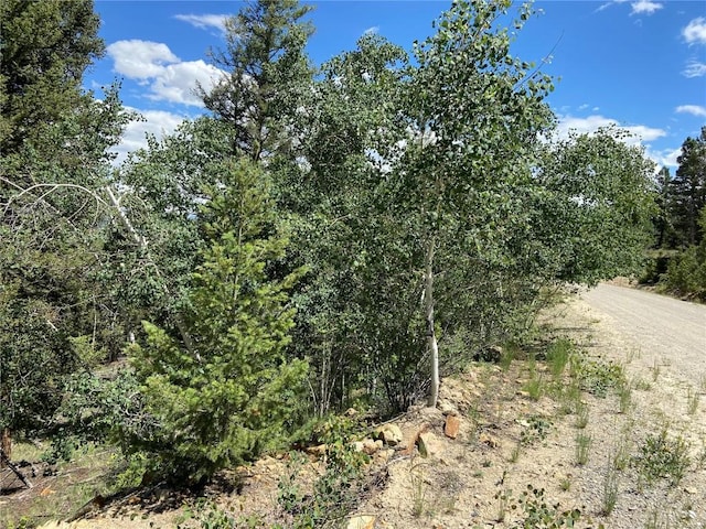 3806 Middle Fork Vis, Fairplay, CO 80440 - photo 23