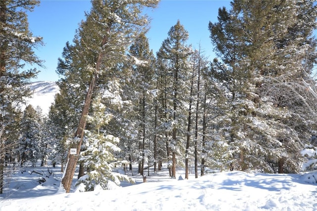 3806 Middle Fork Vis, Fairplay, CO 80440 - photo 4
