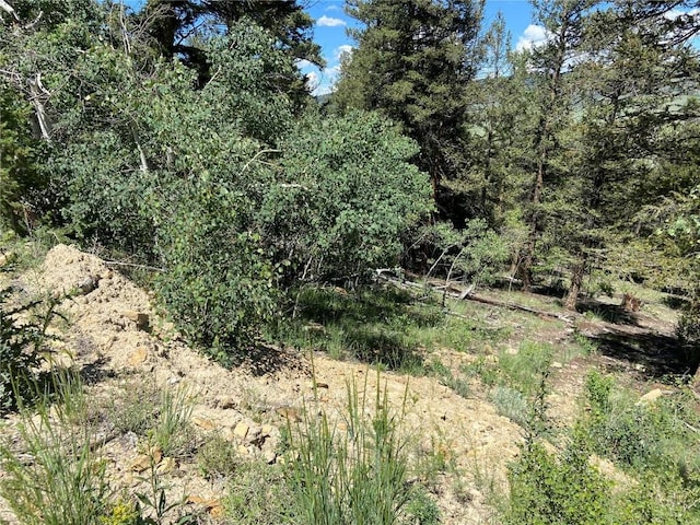 3806 Middle Fork Vis, Fairplay, CO 80440 - photo 25