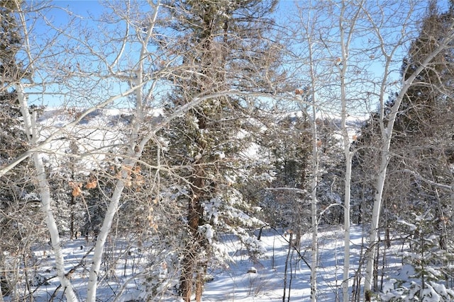 3806 Middle Fork Vis, Fairplay, CO 80440 - photo 7