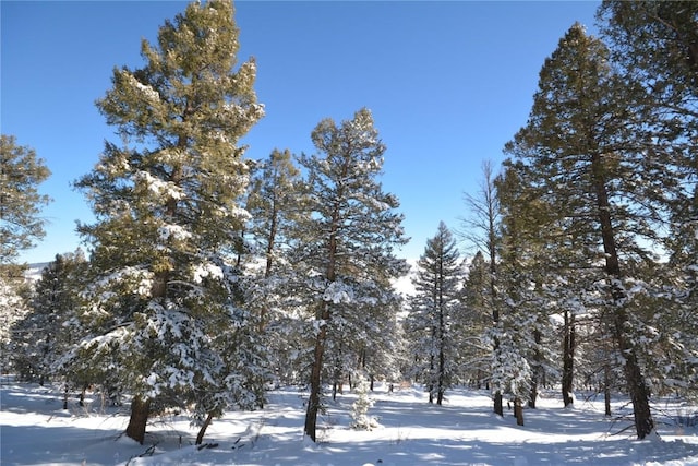 3806 Middle Fork Vis, Fairplay, CO 80440 - photo 17