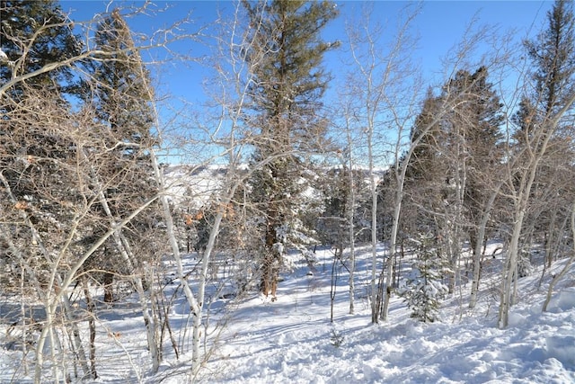 3806 Middle Fork Vis, Fairplay, CO 80440 - photo 8