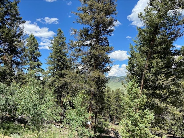 3806 Middle Fork Vis, Fairplay, CO 80440 - photo 22
