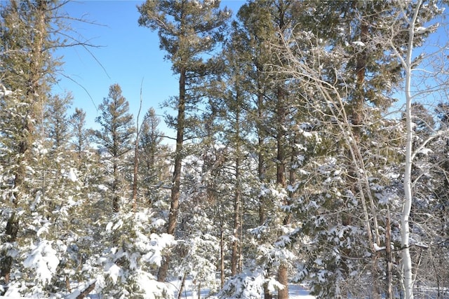 3806 Middle Fork Vis, Fairplay, CO 80440 - photo 10