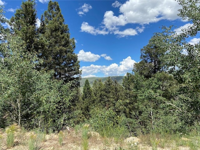 3806 Middle Fork Vis, Fairplay, CO 80440 - photo 1
