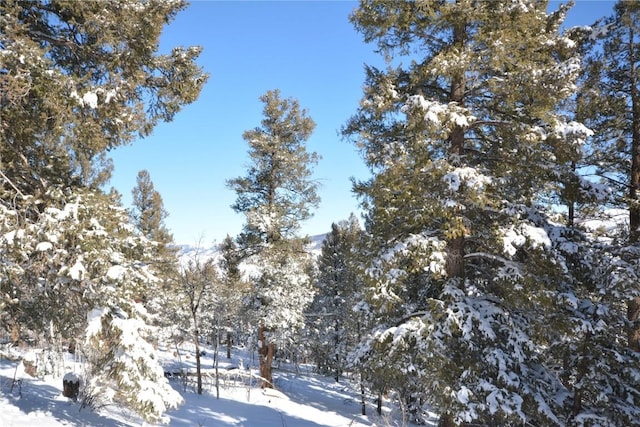 3806 Middle Fork Vis, Fairplay, CO 80440 - photo 14