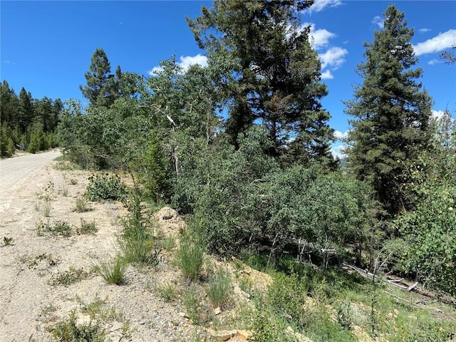 3806 Middle Fork Vis, Fairplay, CO 80440 - photo 21