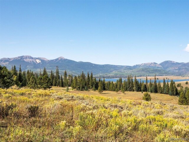 60218 Antelope Way, Clark, CO 80428