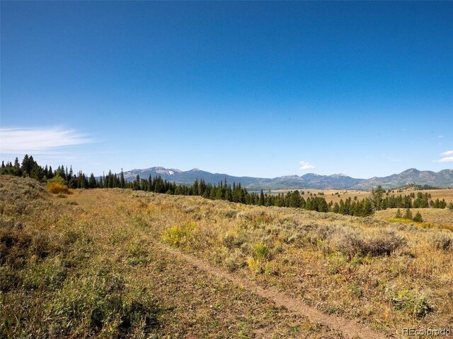 60218 Antelope Way, Clark, CO 80428