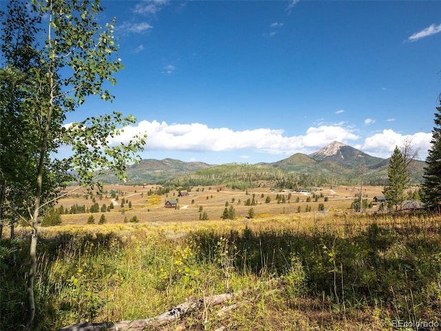 60218 Antelope Way, Clark, CO 80428