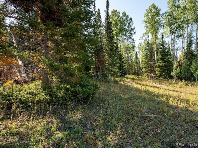 60218 Antelope Way, Clark, CO 80428