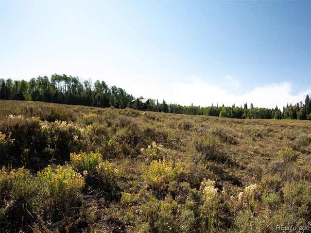 60218 Antelope Way, Clark, CO 80428