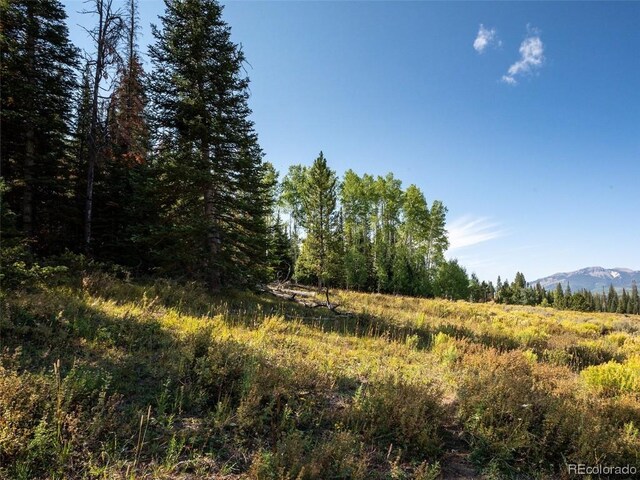 60218 Antelope Way, Clark, CO 80428
