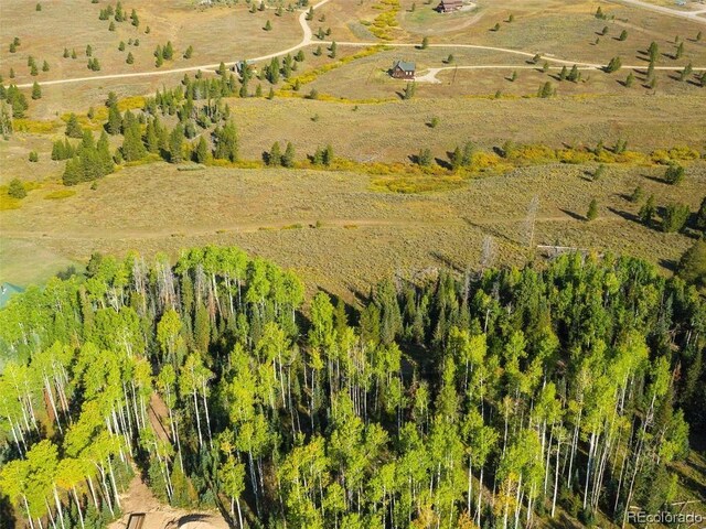 60218 Antelope Way, Clark, CO 80428