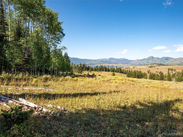 60218 Antelope Way, Clark, CO 80428