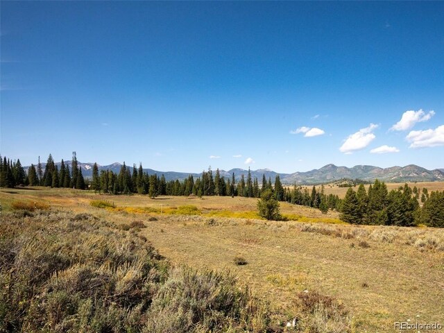 60218 Antelope Way, Clark, CO 80428