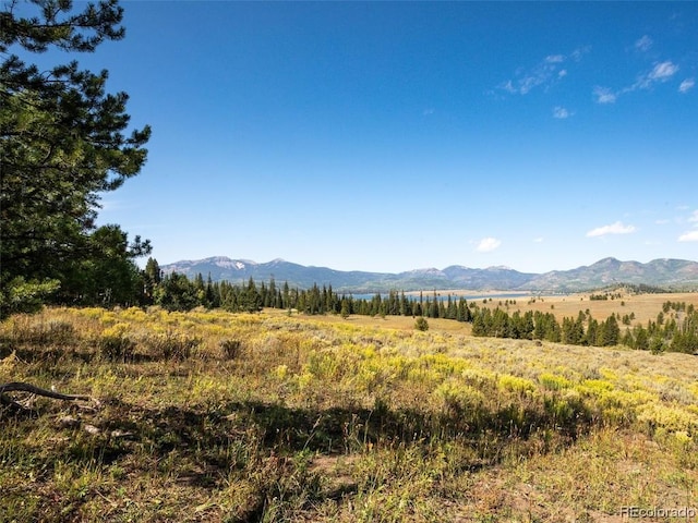 60218 Antelope Way, Clark, CO 80428